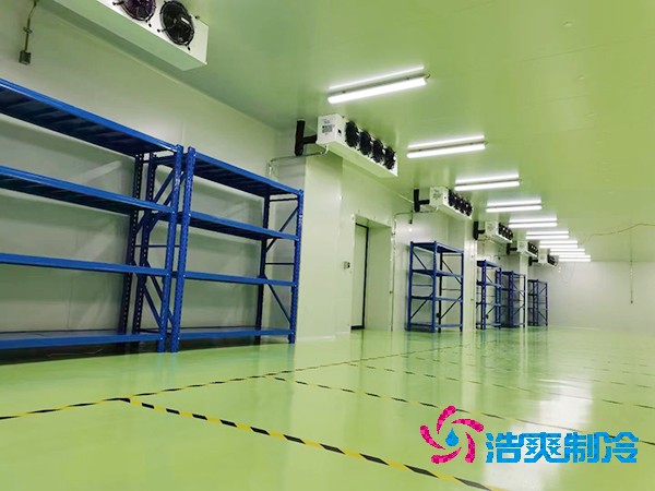 存储微生物细菌的医药冷库造价成本多少钱？