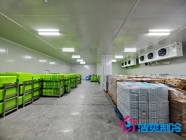 医药冷库建设方案及造价概览