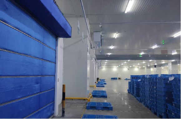 上海晶纯实业二期800立方 试剂冷藏库建造工程案例